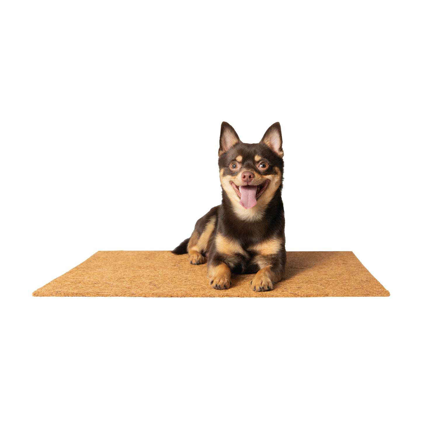 CocoTurf™ Refill Mats 3-Pack