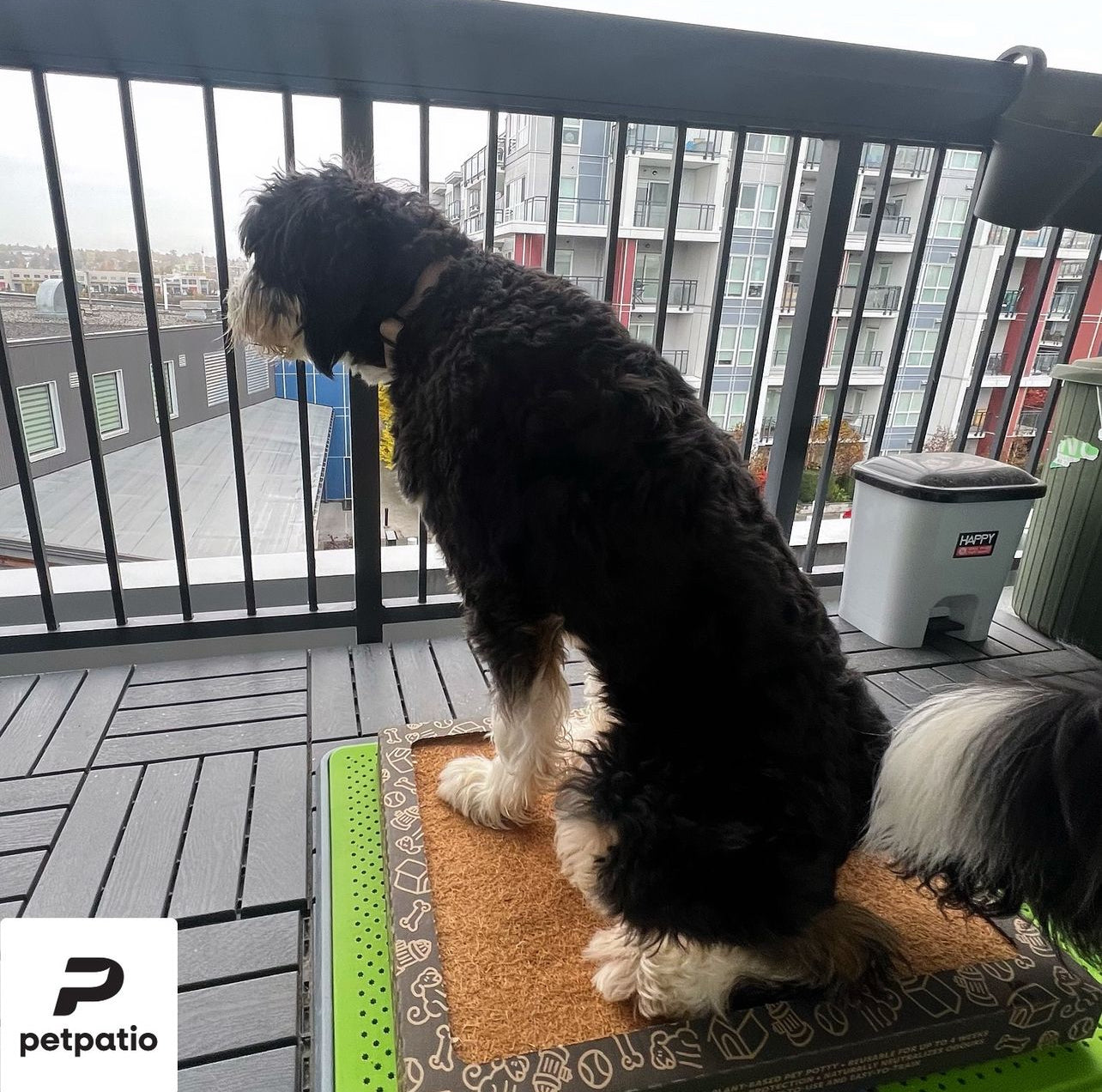 CocoTurf™ Reusable Pee Pad